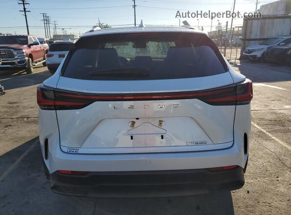 2T2ADCAZ0RC007200 2024 LEXUS NX 250 BAS White Սալոնի դիմացի տեսք