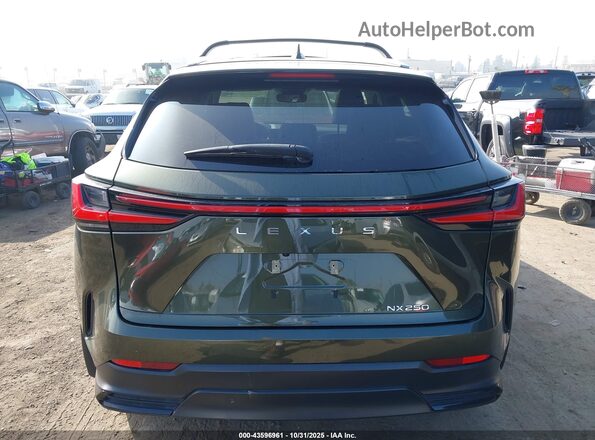 2T2ADCAZ1RC012020 2024 LEXUS NX 250 Green 