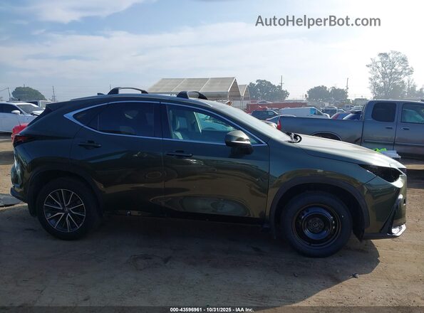2T2ADCAZ1RC012020 2024 LEXUS NX 250 Green Вид задньої частини салону