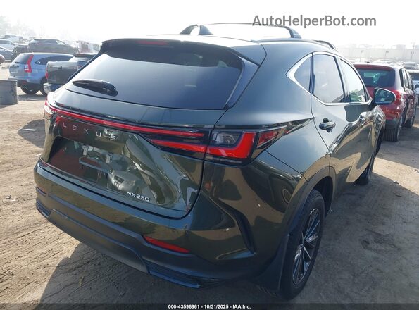 2T2ADCAZ1RC012020 2024 LEXUS NX 250 Green Задня права чверть
