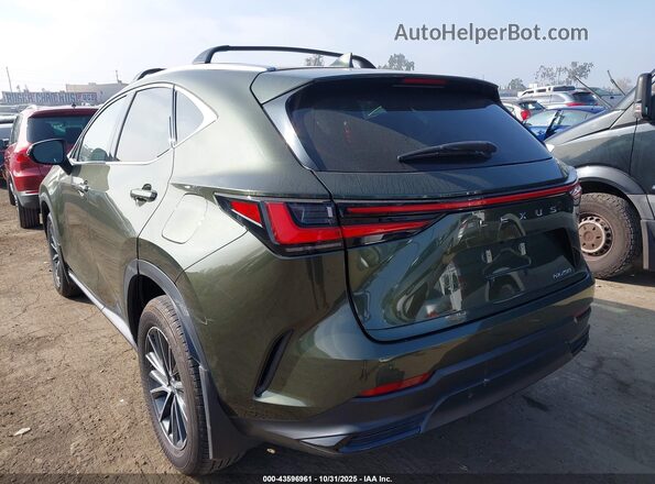 2T2ADCAZ1RC012020 2024 LEXUS NX 250 Green Задня ліва чверть