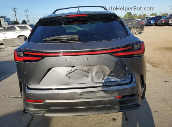 2T2ADCAZ1RC012440 2024 LEXUS NX Gray უკანა ხედი