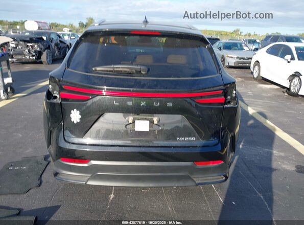 2T2ADCAZ3RC014478 2024 LEXUS NX 250 Black 