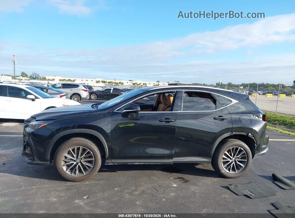 2T2ADCAZ3RC014478 2024 LEXUS NX 250 Black 