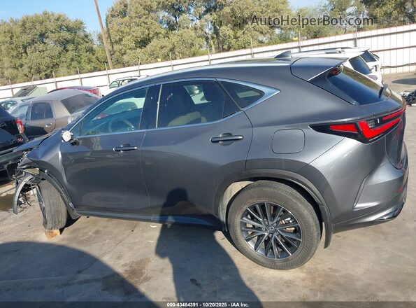 2T2ADCAZ9RC010547 2024 LEXUS NX 250 Серый Панорамный вид салона 360°
