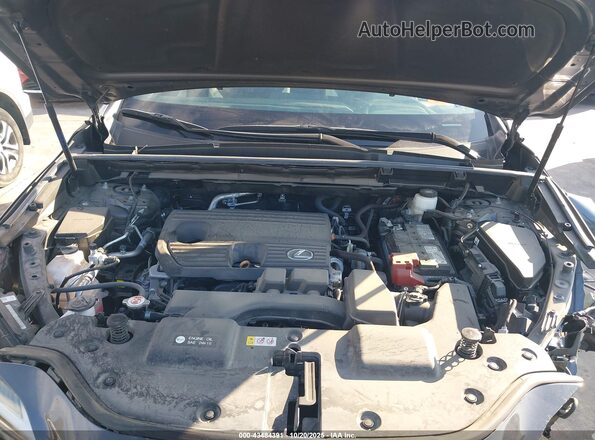 2T2ADCAZ9RC010547 2024 LEXUS NX 250 Серый Вид сзади