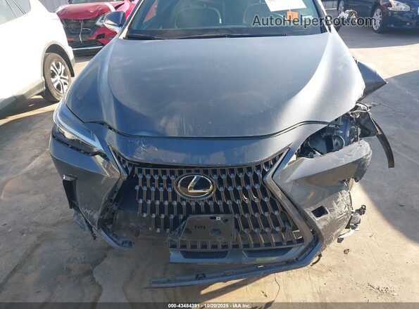 2T2ADCAZ9RC010547 2024 LEXUS NX 250 Серый 