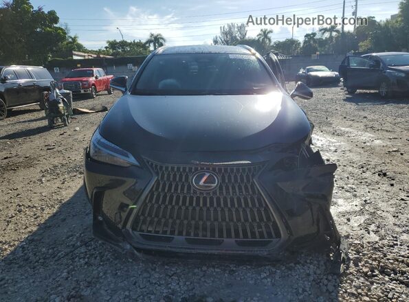 2T2ADCAZ9RC013156 2024 LEXUS NX Black 