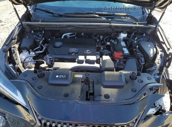 2T2ADCAZ9RC013156 2024 LEXUS NX Black 