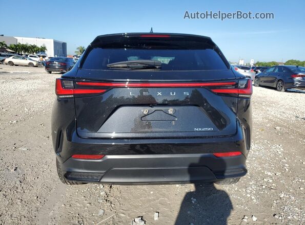 2T2ADCAZ9RC013156 2024 LEXUS NX Black 