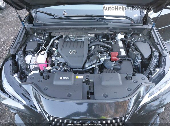 2T2AGCEZ5SC069781 2025 LEXUS NX 350 Black Widok z tyłu