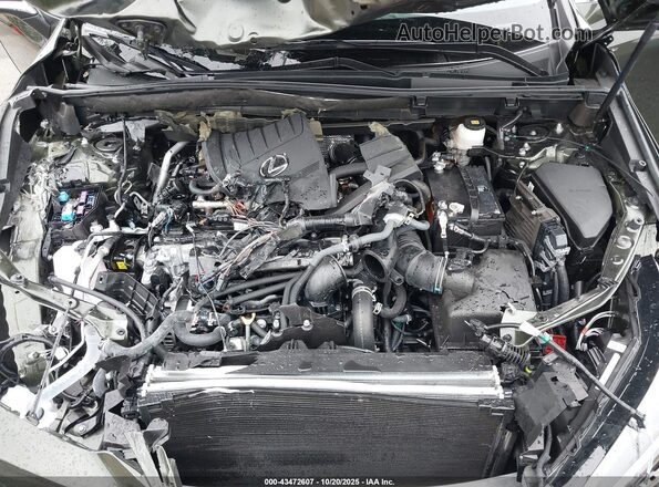 2T2AGCEZ7SC086971 2025 LEXUS NX 350 Зеленый Вид сзади