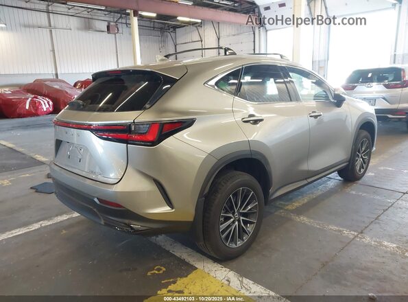 2T2AKCEZ7RC018534 2024 LEXUS NX 350H Gray Trasero derecho