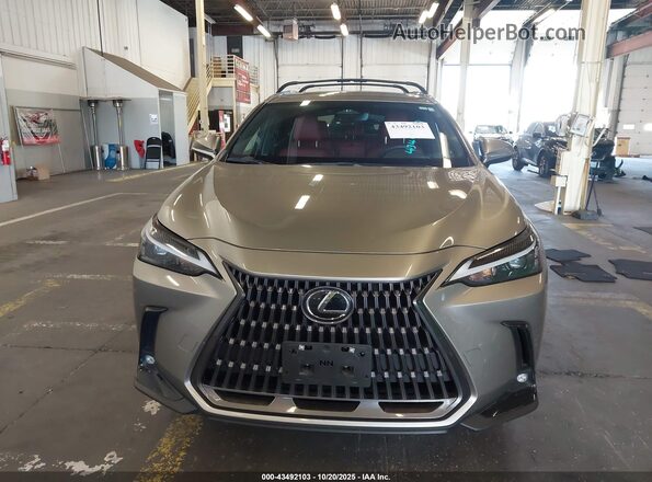 2T2AKCEZ7RC018534 2024 LEXUS NX 350H Gray Vista interior trasera