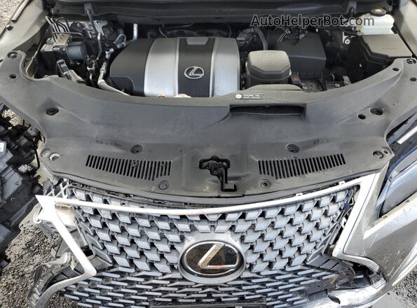 2T2AZMDA6LC217093 2020 LEXUS RX Beige ძრავის განყოფილების ხედი