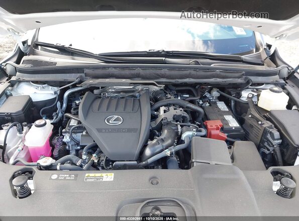 2T2BAMCA0RC057251 2024 LEXUS RX 350 White უკანა ხედი