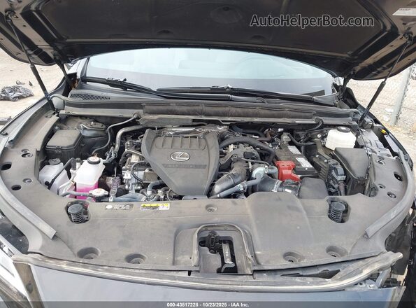 2T2BAMCA2RC081180 2024 LEXUS RX 350 Черный Вид сзади