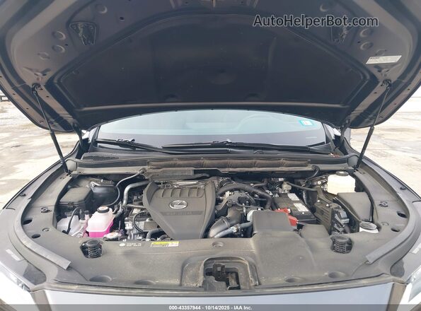 2T2BAMCA3RC081608 2024 LEXUS RX 350 Gray Rear view