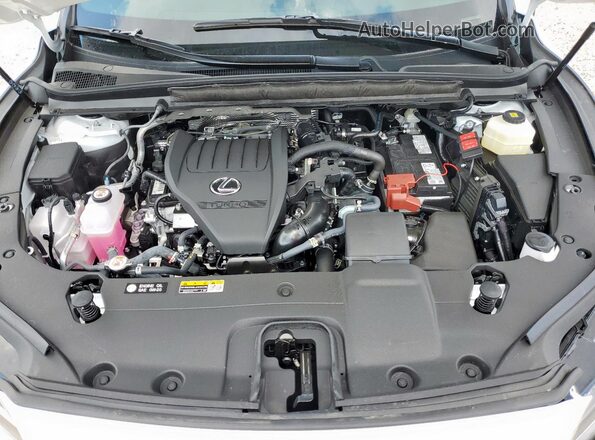 2T2BAMCA4SC103167 2025 LEXUS RX White 