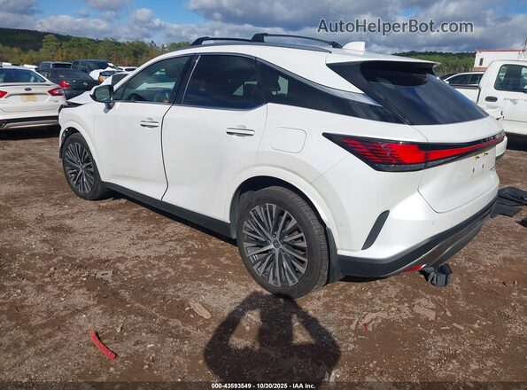 2T2BAMCA8RC079451 2024 LEXUS RX 350 White უკანა მარცხენა