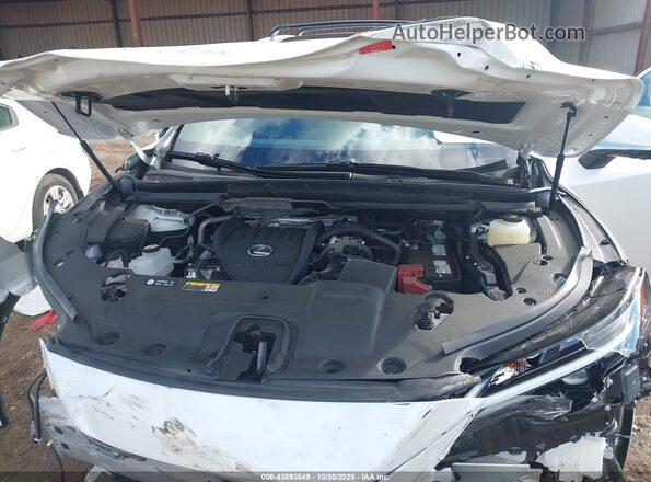 2T2BAMCA8RC079451 2024 LEXUS RX 350 White უკანა ხედი
