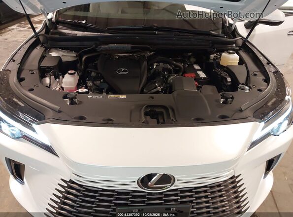 2T2BAMCA8SC112387 2025 LEXUS RX 350 White უკანა ხედი