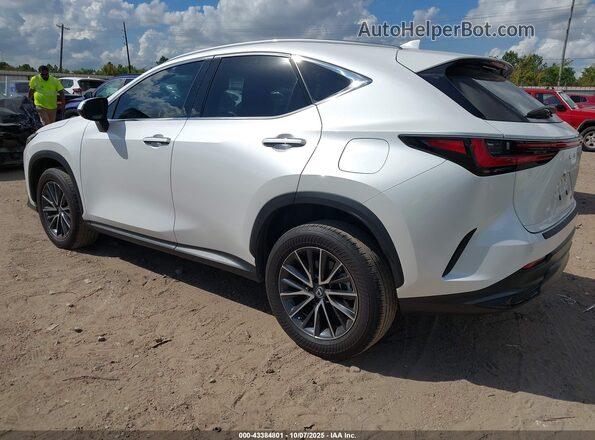 2T2GDCAZ0PC005714 2023 LEXUS NX 250 Белый Задняя левая четверть