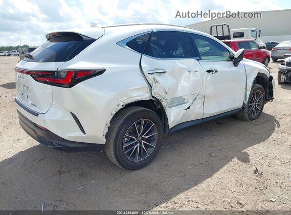 2T2GDCAZ0PC005714 2023 LEXUS NX 250 Белый Задняя правая четверть
