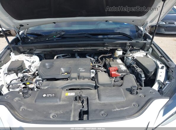 2T2GDCAZ0PC005714 2023 LEXUS NX 250 Белый Вид сзади