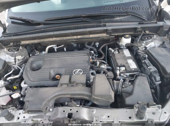 2T2GDCAZ0RC006171 2024 LEXUS NX 250 Silver Vista trasera