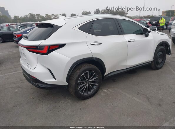 2T2GGCEZ2SC079582 2025 LEXUS NX 350 White Задня права чверть