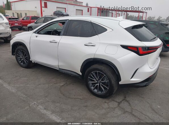2T2GGCEZ2SC079582 2025 LEXUS NX 350 White Задня ліва чверть