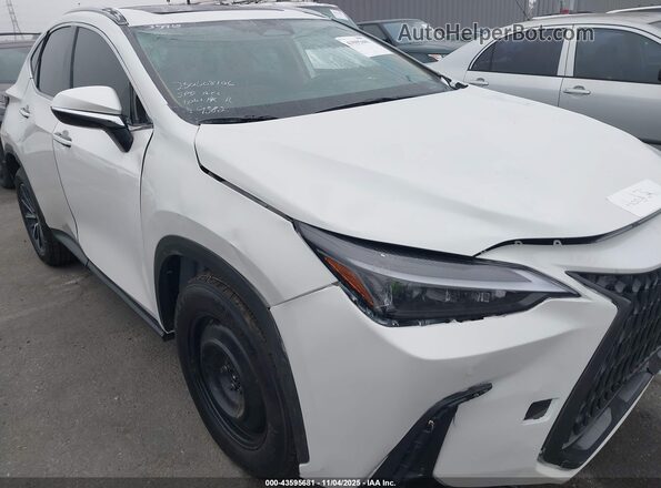2T2GGCEZ2SC079582 2025 LEXUS NX 350 White 