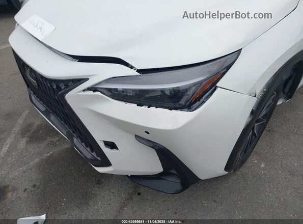2T2GGCEZ2SC079582 2025 LEXUS NX 350 White 