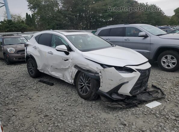2T2GGCEZ6NC004890 2022 LEXUS NX Белый 