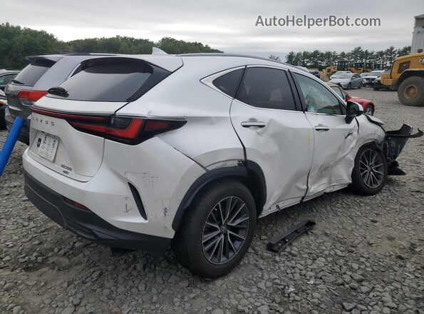 2T2GGCEZ6NC004890 2022 LEXUS NX Белый 