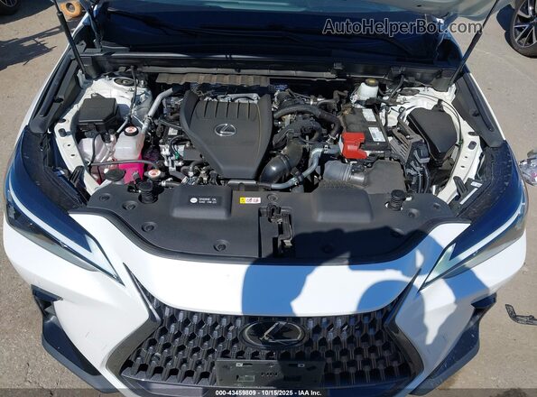 2T2GGCEZ7NC007121 2022 LEXUS NX 350 White Հետևի տեսք