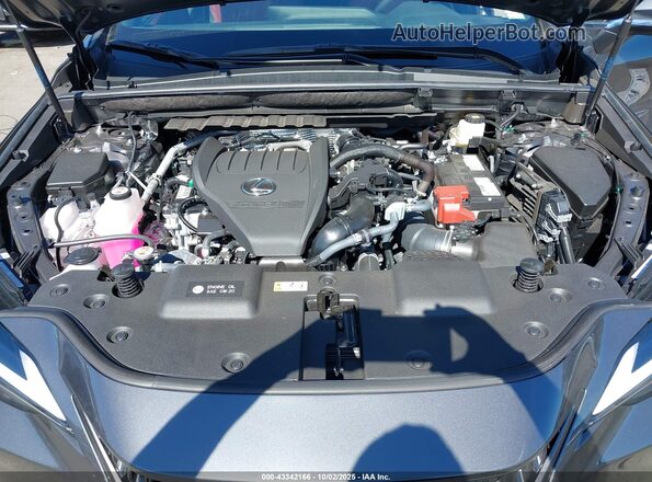 2T2GGCEZ8SC085127 2025 LEXUS NX 350 Серый Вид сзади