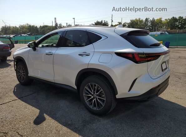 2T2GGCEZ8SC092224 2025 LEXUS NX White Задня ліва чверть