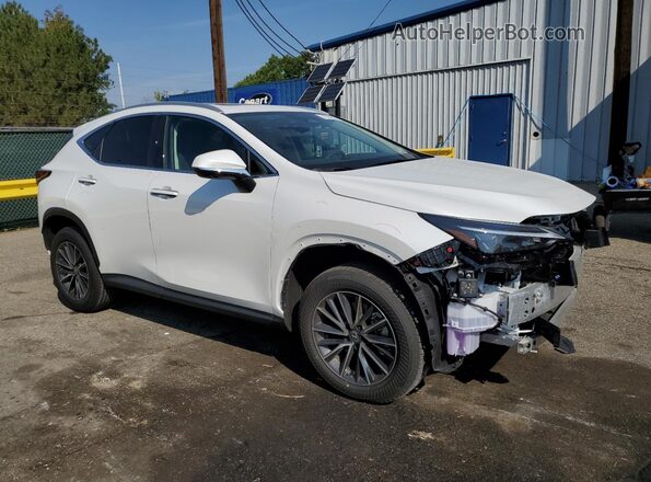 2T2GGCEZ8SC092224 2025 LEXUS NX White Передня права чверть