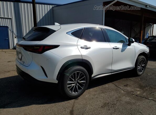 2T2GGCEZ8SC092224 2025 LEXUS NX White Задня права чверть