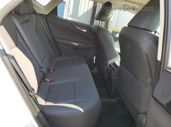 2T2GGCEZ8SC092224 2025 LEXUS NX White Вид задньої частини салону