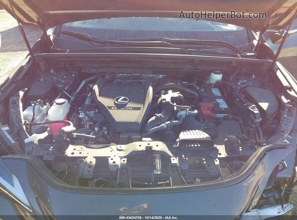 2T2GGCEZXRC051104 2024 LEXUS NX 350 Серый Вид сзади