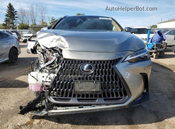 2T2GKCEZ1NC007775 2022 LEXUS NX Gray Widok z przodu