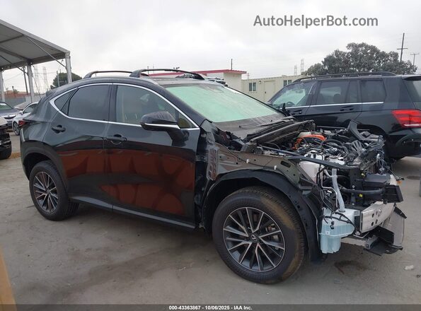 2T2GKCEZ4SC054553 2025 LEXUS NX 350H Black Սալոնի 360 աստիճան տեսք