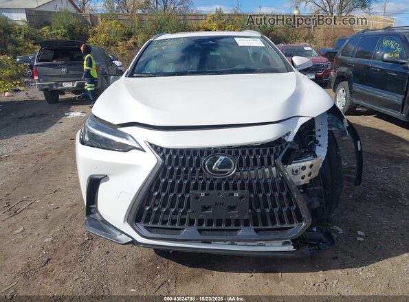 2T2GKCEZ9SC034153 2025 LEXUS NX 350H White ხელსაწყოთა პანელის ხედი