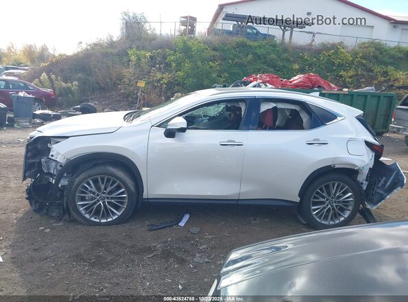 2T2GKCEZ9SC034153 2025 LEXUS NX 350H White სალონის 360-გრადუსიანი ხედი