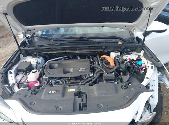 2T2GKCEZ9SC034153 2025 LEXUS NX 350H White უკანა ხედი