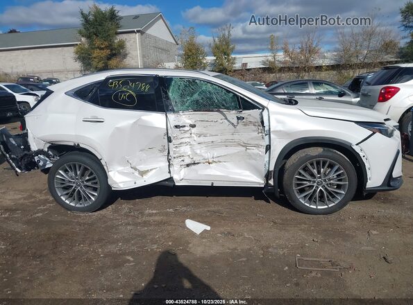 2T2GKCEZ9SC034153 2025 LEXUS NX 350H White უკანა სალონის ხედი