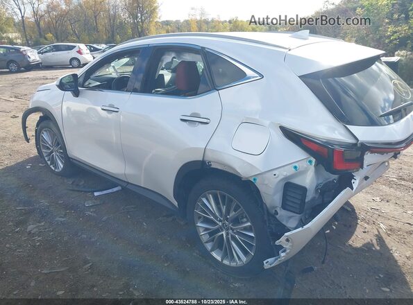 2T2GKCEZ9SC034153 2025 LEXUS NX 350H White უკანა მარცხენა